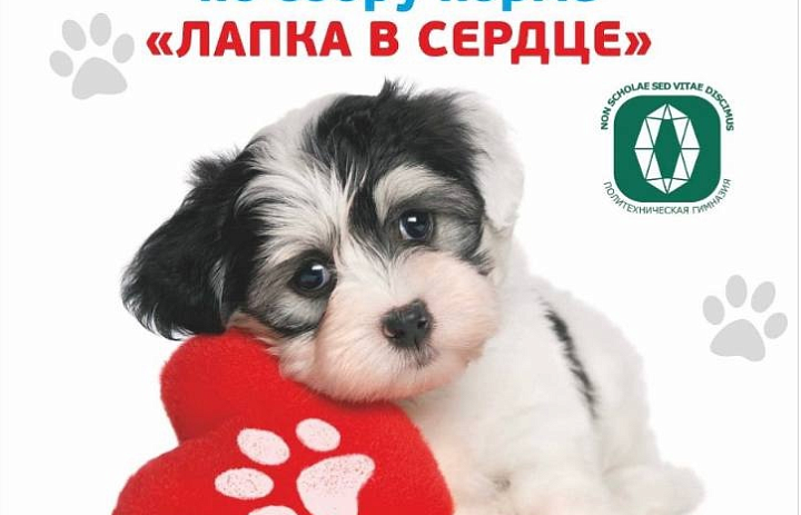 Лапка в сердце